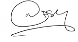 Mike Casey signature
